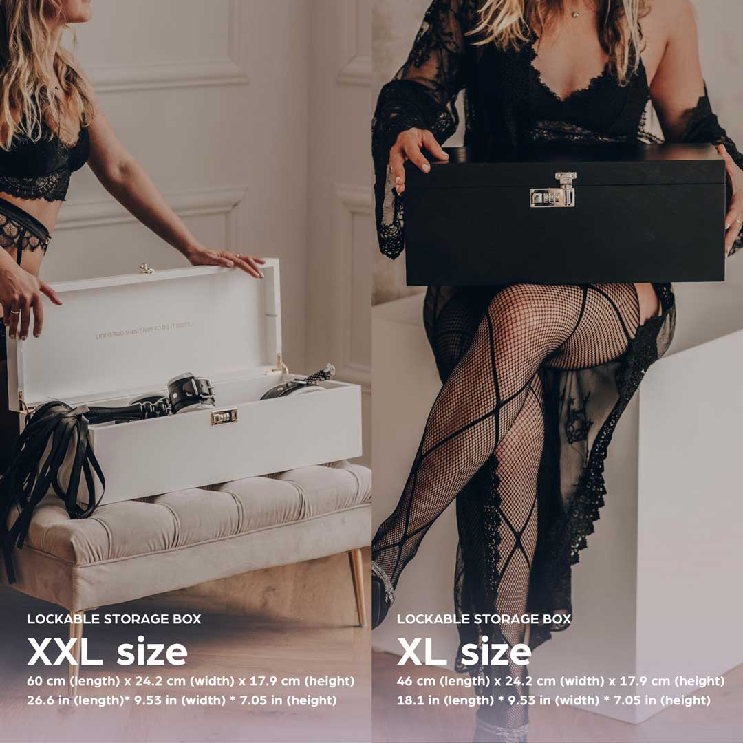 storage box for adult toys
